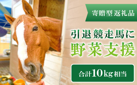A-571 【思いやり型返礼品】引退競走馬に野菜支援