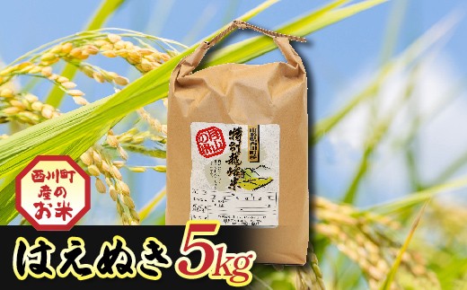 令和7年度 山形県西川町産 はえぬき 5kg 精米 白米 ブランド米 米 ご飯 ごはん 自宅用 家庭用 FYN6-557