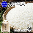 【ふるさと納税】 米 10kg にこまる 玄米 新米 お米 特別栽培 大野見米 ご飯 10キロ 四万十 高知