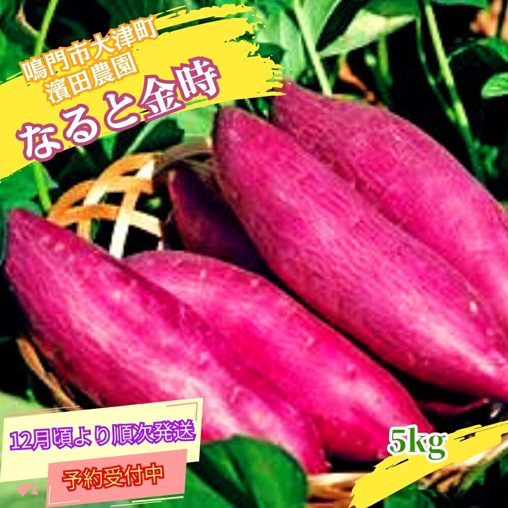 【ふるさと納税】 【予約受付中・2025年12月頃より順次発送】＜ 訳あり ・ 不揃い ＞ 濱田農園 なると金時 サイズ混合 約5kg 【 数量限定 】 ｜ 鳴門金時 甘い ホクホク 国産 鳴門 産地直送 スイーツ おやつ 焼き芋 焼芋 焼きいも 天ぷら 干し芋 スイートポテト 離乳食