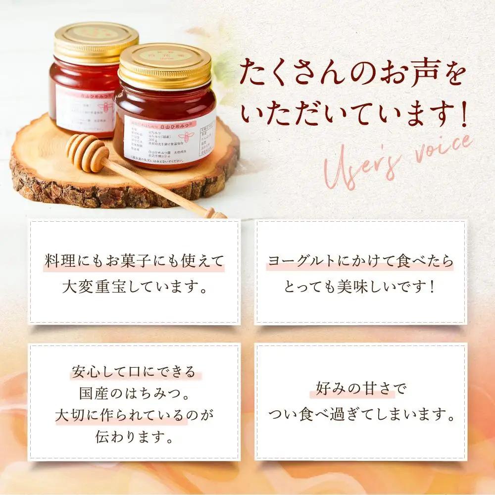 幻の日本ミツバチからの贈り物　純粋はちみつ300ｇ×1瓶　白山ひめみつ