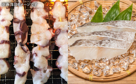 カネオ成栄丸のおまかせお魚BOX 美海(5種） ｜ お魚 お魚 お魚 お魚 お魚 