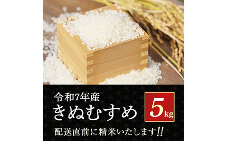 【新米】【在庫限定】令和7年産米 きぬむすめ 5kg （大上農園）数量限定 お米 こめ 白米 きぬむすめ