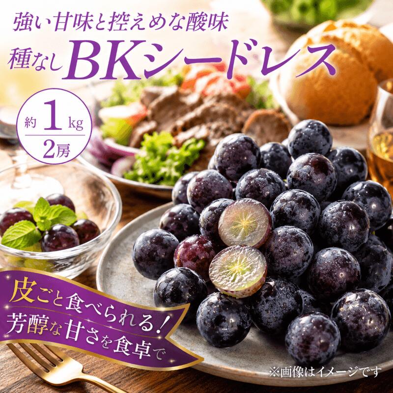 【ふるさと納税】 ぶどう BKシードレス 種なし 計1kg 2房 フルーツ グレープ デザート あま～い あまい 甘い ジューシー 果汁 たっぷり ベリー 巨峰 果肉 柔らか みずみずしい アレンジ スイーツ フローズン ジャム ジェラート 渋さ知らズ 子どもも食べやすい 宮城県 岩沼産