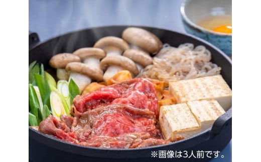 
【ＪＡ全農京都・有限会社もりた】九条ねぎと京の肉すき焼きセット（２人前）
