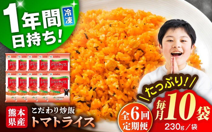 
                  【全6回定期便】熊本県産 こだわり炒飯 トマトライス 計2.3kg (230g×10) ／ 冷凍食品 チャーハン 熊本県 特産品 焼きめし 冷凍炒飯 惣菜 冷凍チャーハン 焼飯 焼き飯 やきめし 炒飯 惣菜 冷凍 温め 時短 レンチン 簡単 ごはん 菊陽町【ユーユーフーズ株式会社】 [BHCS016]
                