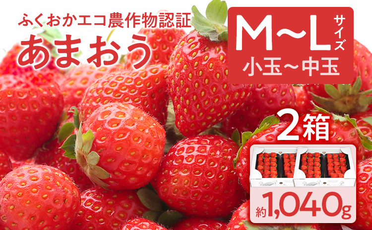ふくおかエコ農作物認証あまおう M～Lサイズ 2箱セット あまおう イチゴ 苺 いちご フルーツ 果物 くだもの 福岡県産 お取り寄せグルメ お取り寄せ 福岡 お土産 九州 福岡土産 取り寄せ グルメ
