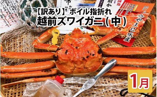 【先行予約】名人が茹でる とれたて指折れ訳あり越前がに(中) 1杯 やまに仕込み【1月発送分】[E-4353_01]