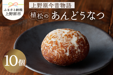 【人気 和菓子】 名菓 あんどうなつ（10個 ）