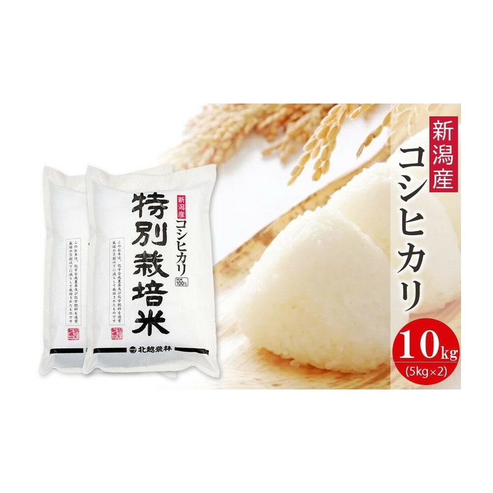 【ふるさと納税】〈令和7年産 新米〉特別栽培米 新潟産コシヒカリ 10kg 精米 白米