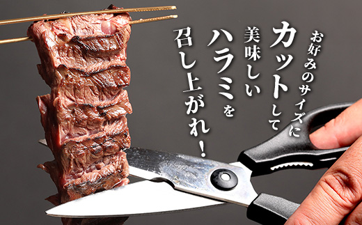 ※12月寄附限定 タン先炭火焼付※【 厚切り 】牛 ハラミステーキ【500g】 焼肉 ハラミ 焼き肉 はらみ 塩味 牛肉 肉 冷凍 小分け パック キャンプ バーベキュー 067-0678