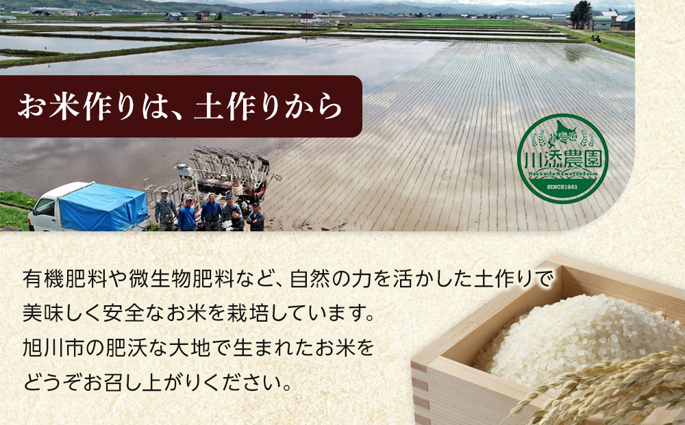 【2月発送】令和7年産　ゆめぴりか 無洗米 真空パック 5kg×2袋 10kg_05241