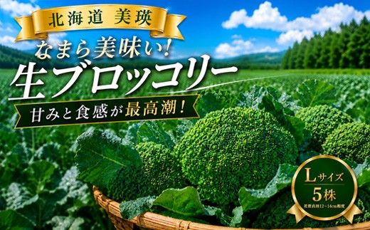 【令和8年産】ブロッコリー 5株 Lサイズ 美瑛産 舟山農園 |  ブロッコリー 北海道 美瑛町産 美瑛町 美瑛 びえい 新鮮 フレッシュ 朝採れ 朝どれ 採れたて とれたて野菜 サラダ 産地直送 農家直送 5個 5こ 5コ [008-42]