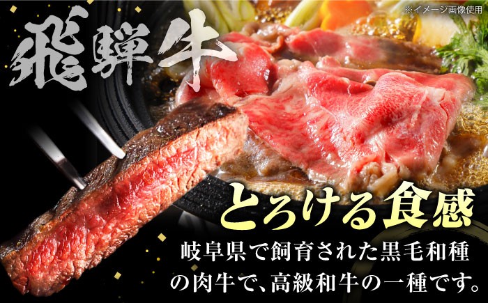 飛騨牛 2種セット ロース サーロイン すきやき すき焼き ステーキ 厳選 A5 大容量 食べ比べ