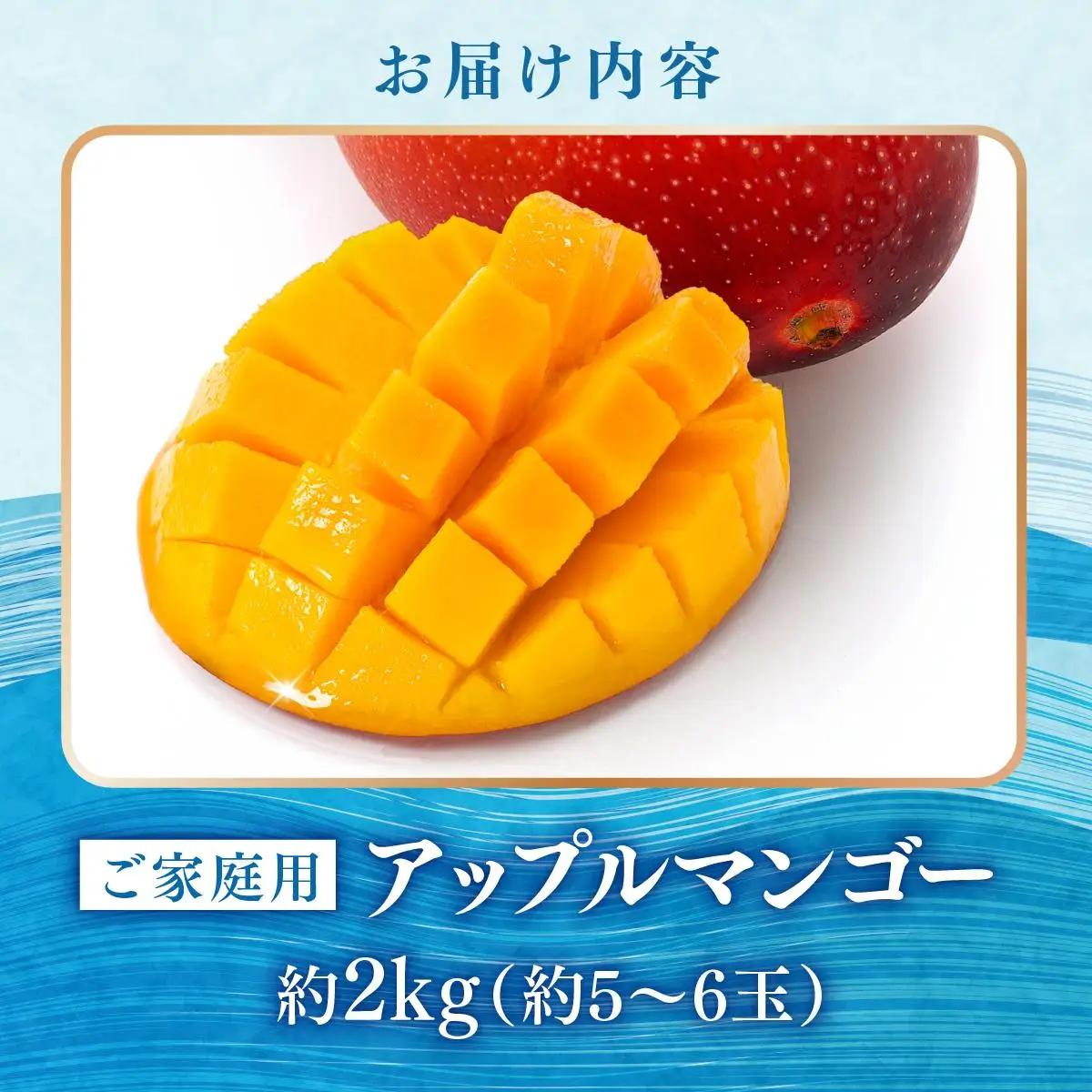＜先行予約・数量限定＞【2027年7月上旬～お届け】フルーツ幸せ農園のアップルマンゴー2kg【家庭用】SN001   I  アップルマンゴー 2kg 家庭用 先行予約 旬 フルーツ 果物   沖縄県 