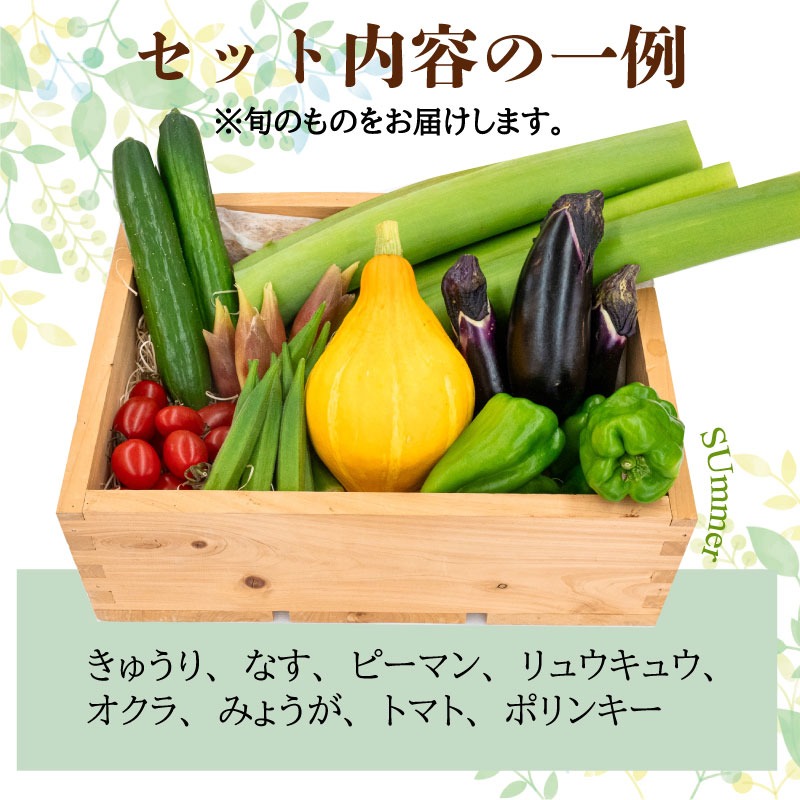 【年末年始限定】『高知の野菜10回定期便』