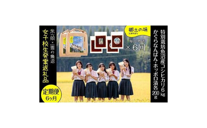 【令和6年産】定期便！女子高生発案！農家とコラボ！県認証特栽魚沼コシヒカリ（毎月6kg+かぐらなんばん・ホッポロ漬各200g）×6回