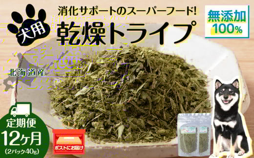 犬 おやつ 鹿肉 無添加 国産 乾燥グリーントライプ 40g (20g×2) 定期便12回 ペット 餌 エサ 浜頓別 北海道