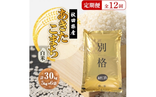 ＜毎月定期便＞あきたこまち 白米 30kg(5kg×6袋)全12回【4080818】