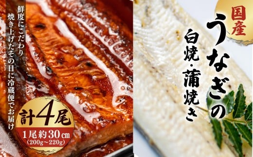 ＜凍らさず美味しさそのまま！〆たて・焼きたてを冷”蔵”で発送＞地元飲食店に愛される美味さにこだわった「国産うなぎの蒲焼き＆国産うなぎの白焼きセット」 (各2尾)【fc-ZF003-B】【由良川漁業協同組合】