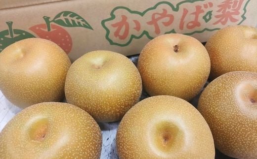 No.2923かやば梨「豊水」約1.5kg【2026年発送】