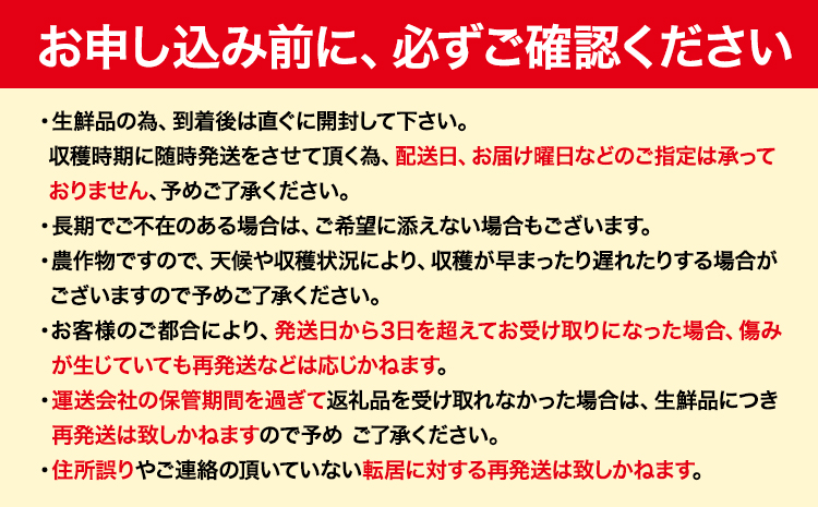 【1.4-218】石田ファーム とうもろこし詰め合わせ20本セット（数量限定）