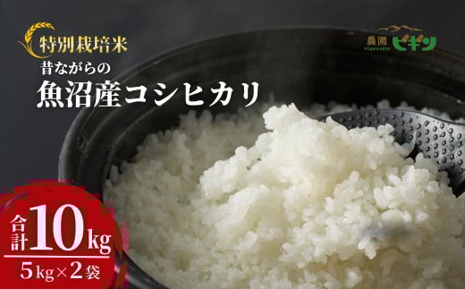 令和7年産 昔ながらの魚沼産コシヒカリ 精米10kg(5kg×2袋) 従来品種 農園ビギン 【0002-BN05-01】