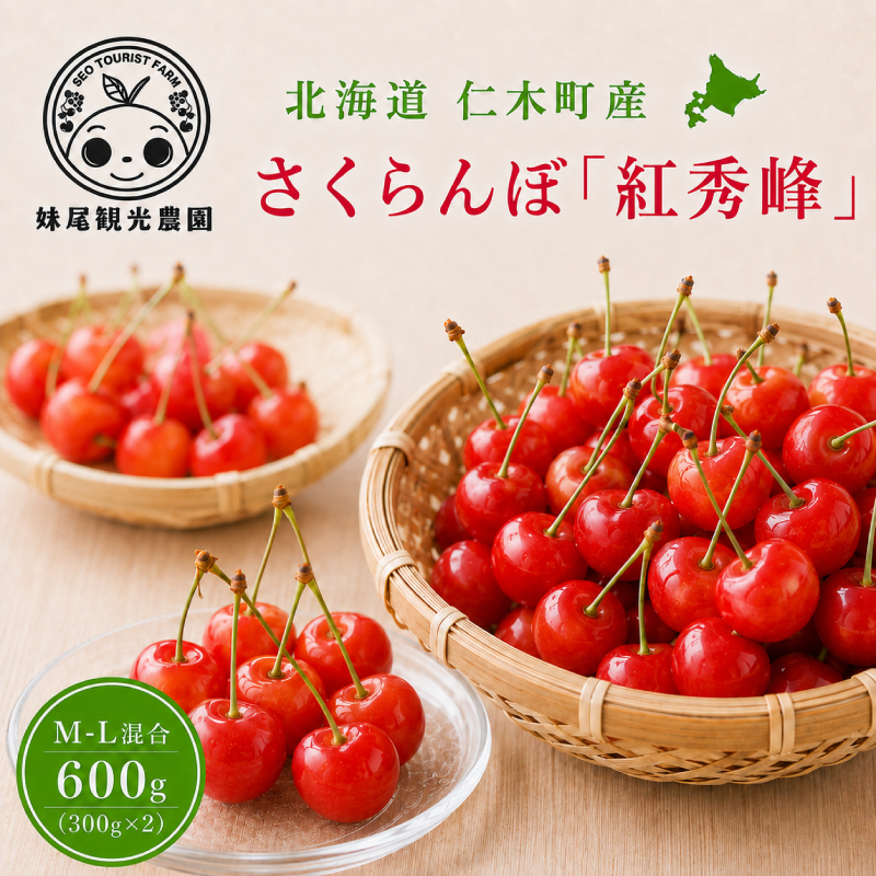 [先行受付] 北海道 仁木町産 さくらんぼ 「紅秀峰」 M-L混合 600g (300g×2パック)　国産 旬のフルーツ 旬の果物 デザートサクランボ チェリー フルーツ 果物 果物類 仁木 [フルーツショップ妹尾観光農園] 