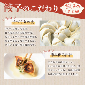 ＼テレビで紹介されました！／お出汁滲み出る和餃子(計48個・12個入り×4袋) 餃子 生餃子 ギョウザ ぎょうざ ギョーザ セット 詰め合わせ おかず お惣菜 冷凍 和風 水餃子【餃子のはま田】akn