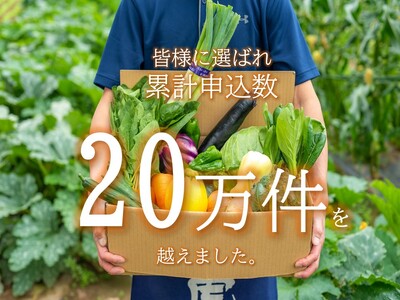 【予約受付/2025年9・10月発送】秋 野菜セット B【 2ヶ月 定期便 】 10品 以上 季節 旬 秋野菜 岩手県 北上市 E0220-01 きのこ 葉物 果菜 根菜 冷蔵 野菜室 ダイエット 食