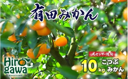 ちっちゃな 有田みかん こつぶみかん 家庭用 10kg （3S～2Sサイズ混合） 光センサー選別 ※2026年11月中旬～2027年1月中旬に順次発送予定 ※北海道・沖縄・離島への配送不可 / 温州みかん みかん 甘い 柑橘 果物 和歌山 【nuk004-s-10C】