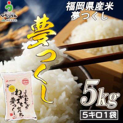 ふるさと納税 行橋市 JAよりお届け!福岡県ブランド米「夢つくし」5kg (行橋市)