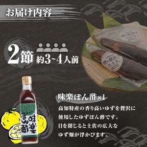 藁焼きかつおのたたき ２節（合計約500g～600g）ポン酢１本付【藁焼きかつおのたたき】【R01412】