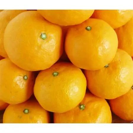 【2027年4月中旬より発送】初夏のみかん　なつみ5kg【日高町】【配送不可地域：離島】【1216978】