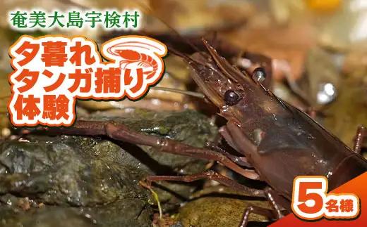 夕暮れタンガ捕り 体験 5名様 奄美大島 宇検村 鹿児島県 旅行 自然 冒険 完全プライベート