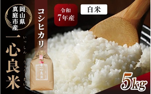 
                  真庭市産 コシヒカリ 米ぬか 牡蠣殻栽培 一心良米 白米 5kg / お米 岡山県 こしひかり 人気 ブランド 令和7年産 2025年産 【tkns009-01-cho】
                