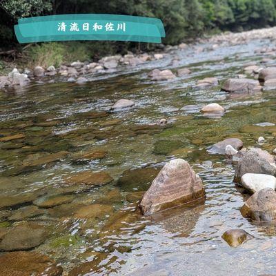 ふるさと納税 美波町 【令和7年産】徳島県海部郡美波町産コシヒカリ100% 精米5kg |  | 03