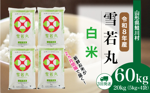 ＜令和8年産米＞ 鮭川村 雪若丸 【白米】 定期便 60kg （20kg×２ヶ月間隔で3回お届け）＜配送時期選べます＞