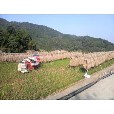 ふるさと納税 高松市 よもぎ　あん入り発芽玄米もち　12個 |  | 03