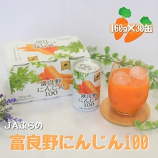 JAふらの　富良野にんじん100(30缶セット)