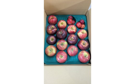 【果実の宝石箱】信州梓川りんご プレミアムMIX  3kg(6～9玉)｜ふるさと納税 松本市 りんご リンゴ 果物 フルーツ 信州 美味しい 特選 長野県 松本市