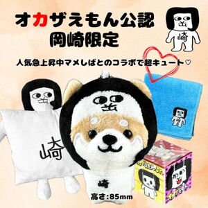 オカザえもん公認フレンドリーセット【1619795】