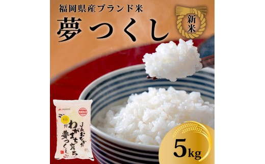 【化粧箱入り】新米！！令和7年産 福岡県産米 夢つくし 5kg ( 5kg×1袋 )