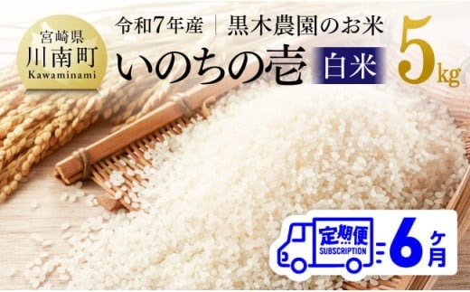 【6ヶ月定期便】【令和7年産】黒木農園のお米「いのちの壱(白米)」5kg 【 米 お米 白米 国産 宮崎県産 いのちのいち おにぎり 】 [D03227t6]