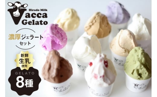 ジェラート アイス ミルク ジェラート100ml 8種 [平戸瀬戸市場 長崎県 平戸市 hr42bgy420250] スイーツ デザート