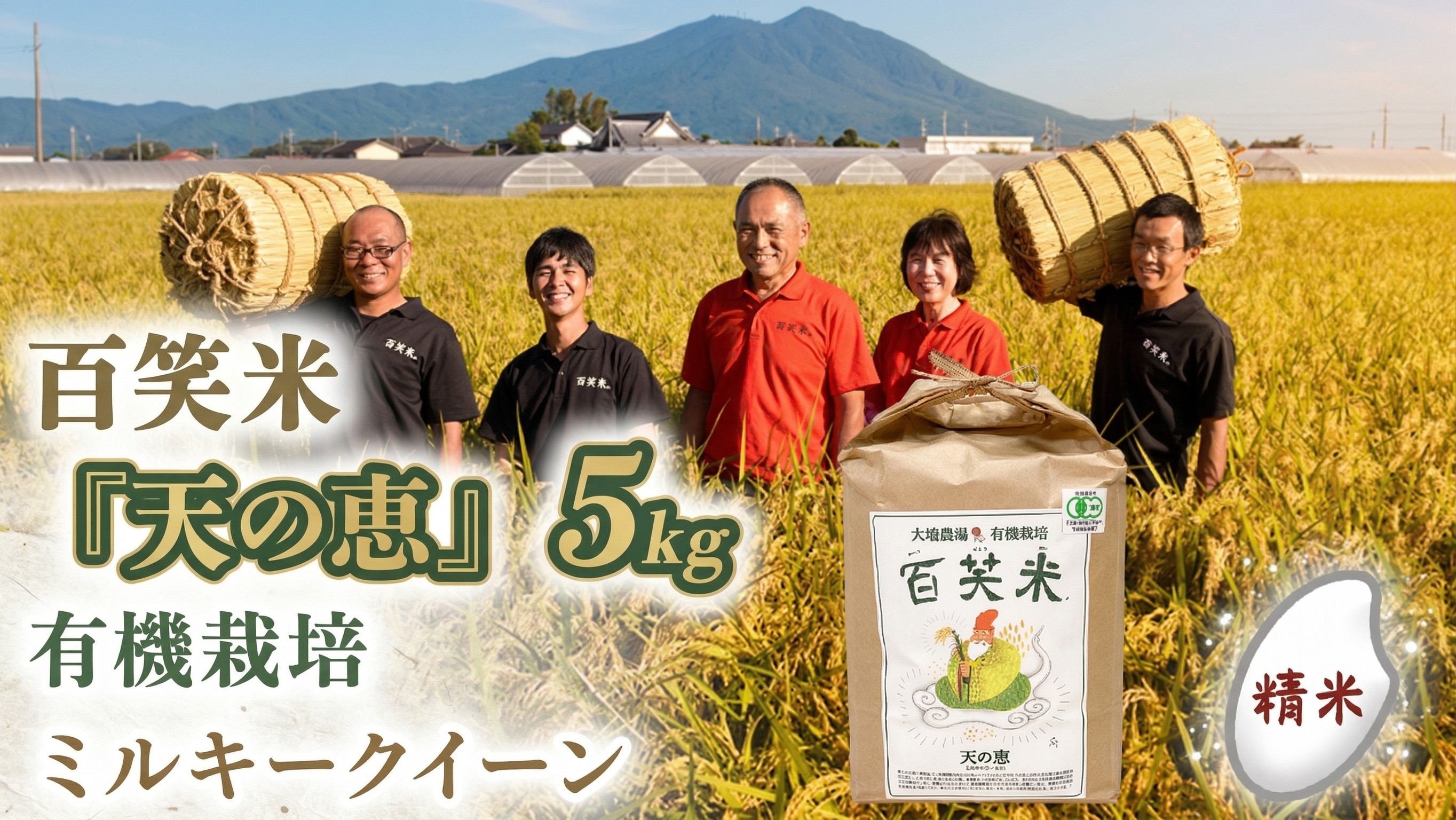 
            精米 百笑米 「 天の恵 」 有機栽培 ミルキークイーン 5kg R7年産 米 コメ 茨城県 単一米 [AC013ci]
          