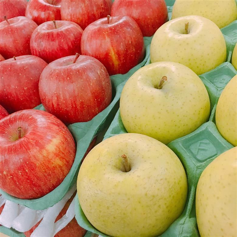 【2025年9月下旬発送】 【特選】 旬の美味しい りんご 約3kg 青森産 【おまかせ1品種】