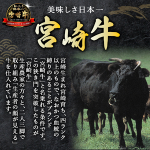 【人気鉄板焼き店厳選】熟成宮崎牛A4等級ロース・赤身すき焼き食べ比べセット　オリジナルタレ付き（国産 牛肉 黒毛和牛 宮崎牛 焼肉 すき焼き スライス 赤身 霜降り 特製タレ付き） 和牛スライス 牛肉
