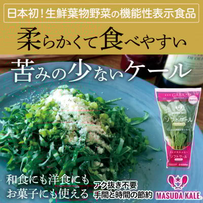 
            ＜毎月定期便＞TV紹介で大好評 ソフトケール 100g×5袋 健康 腸活応援 スムージー 全6回【4003775】
          