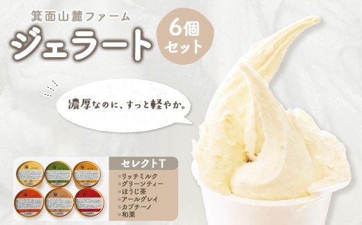 箕面山麓ファームジェラート(セレクトT・6個入)【m06-44-C】【株式会社夢職人】